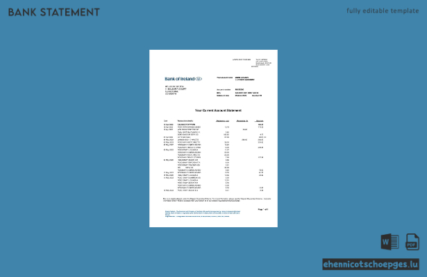 Kontoauszug der Bank of Ireland (Word-Format, 2 Seiten), Beispielvorschau
